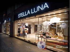 步履蹒跚 Stella Luna母公司九兴控股业绩大幅下滑，折射鞋帽零售业困境